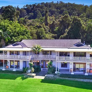 The Golden Whistler , Montville Australia